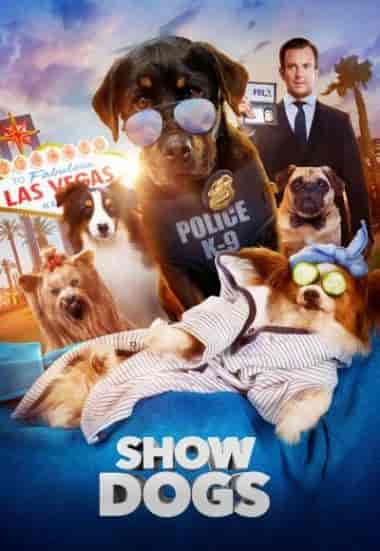 Show Dogs